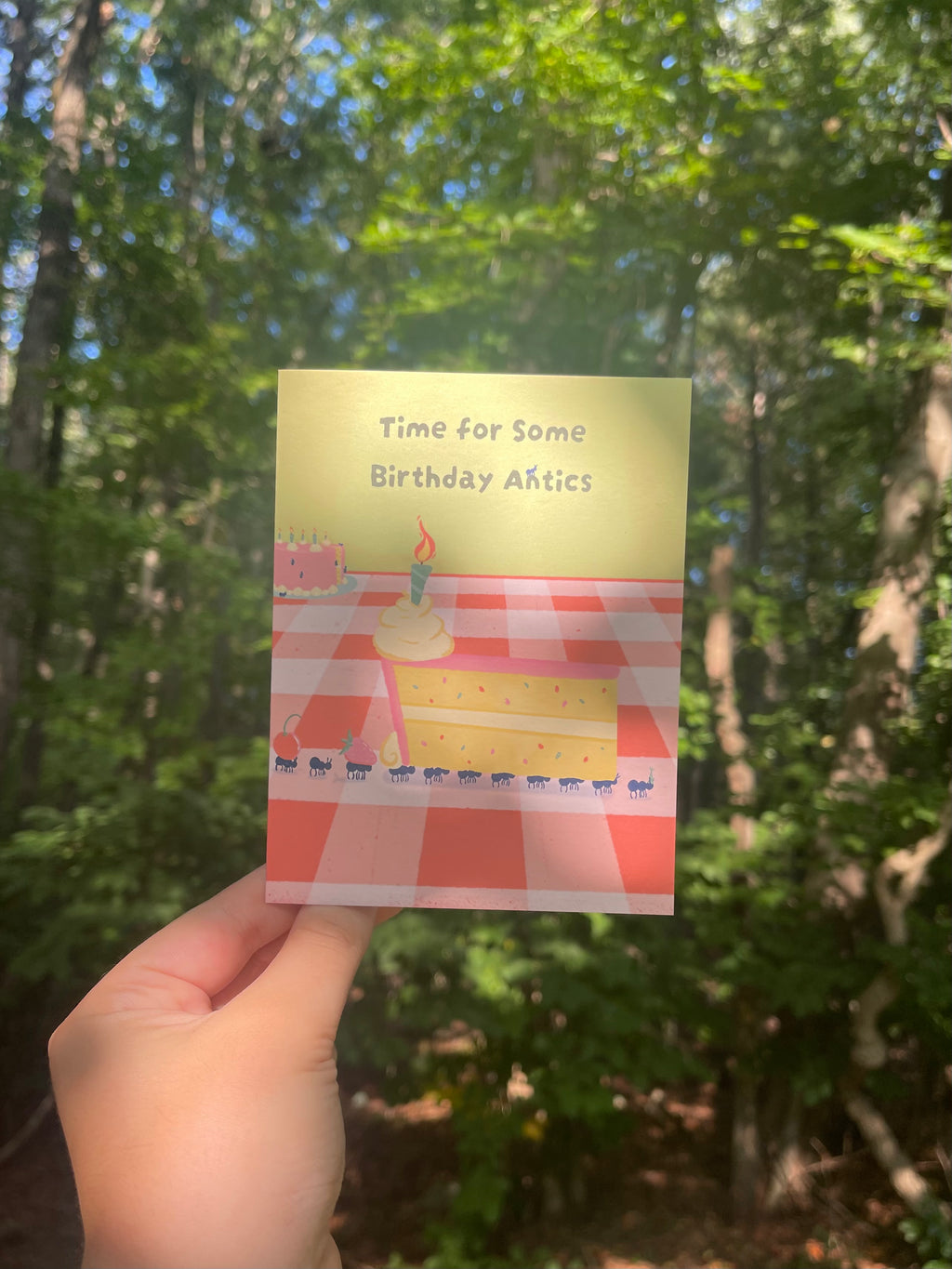 Birthday Antics Greeting Card