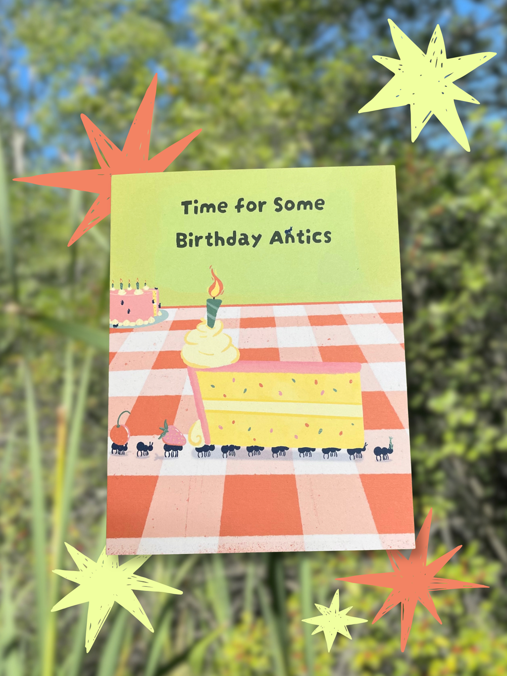Birthday Antics Greeting Card