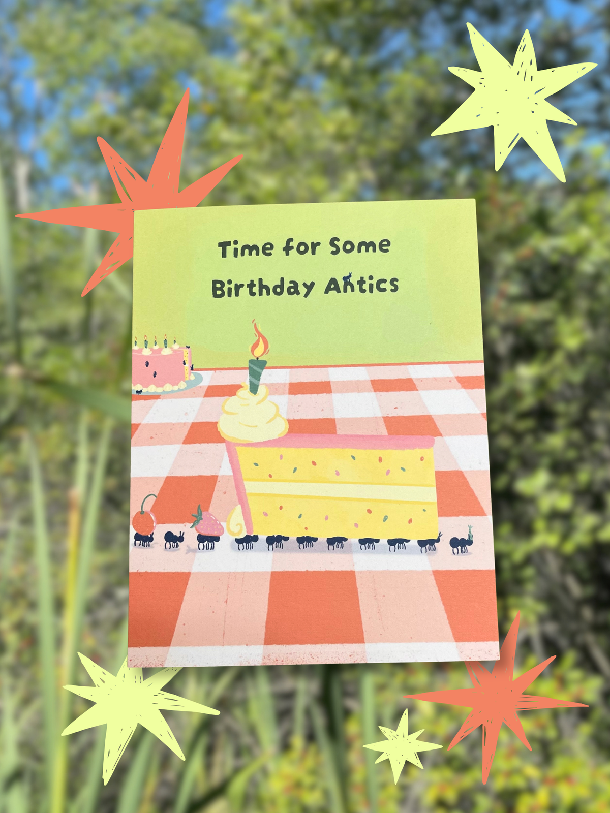 Birthday Antics Greeting Card